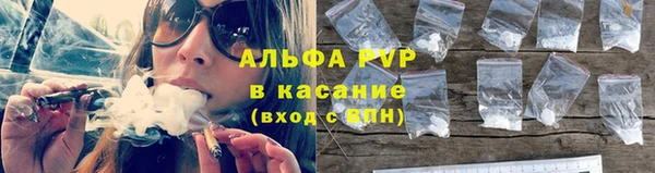 PSILOCYBIN Каменка