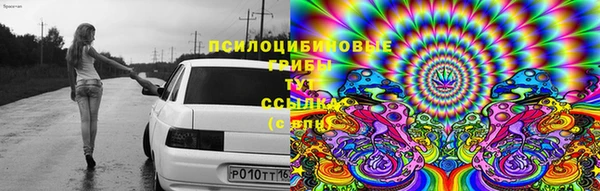 дживик Каменск-Шахтинский
