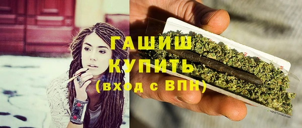PSILOCYBIN Каменка