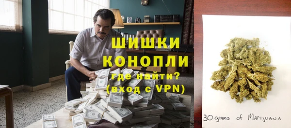 PSILOCYBIN Каменка