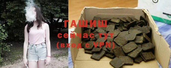 PSILOCYBIN Каменка