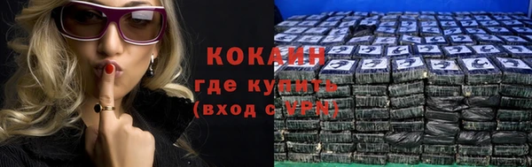 PSILOCYBIN Каменка