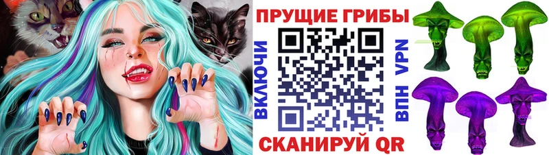маркетплейс телеграм  Полярный  Псилоцибиновые грибы GOLDEN TEACHER 